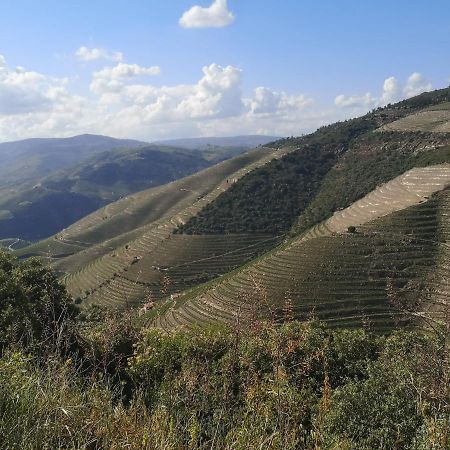 Douro Valley - Casa da Praça Ervedosa do Douro Extérieur photo